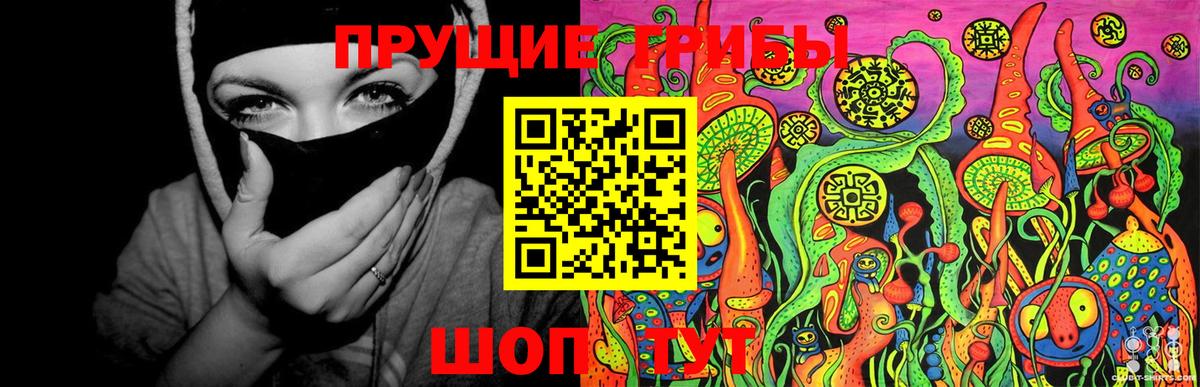 Галлюциногенные грибы Cubensis Усть-Джегута