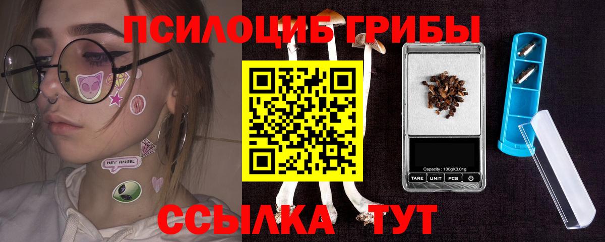 Усть-Джегута  Псилоцибиновые грибы Magic Shrooms  Псилоцибиновые грибы Psilocybe  Вход с VPN 